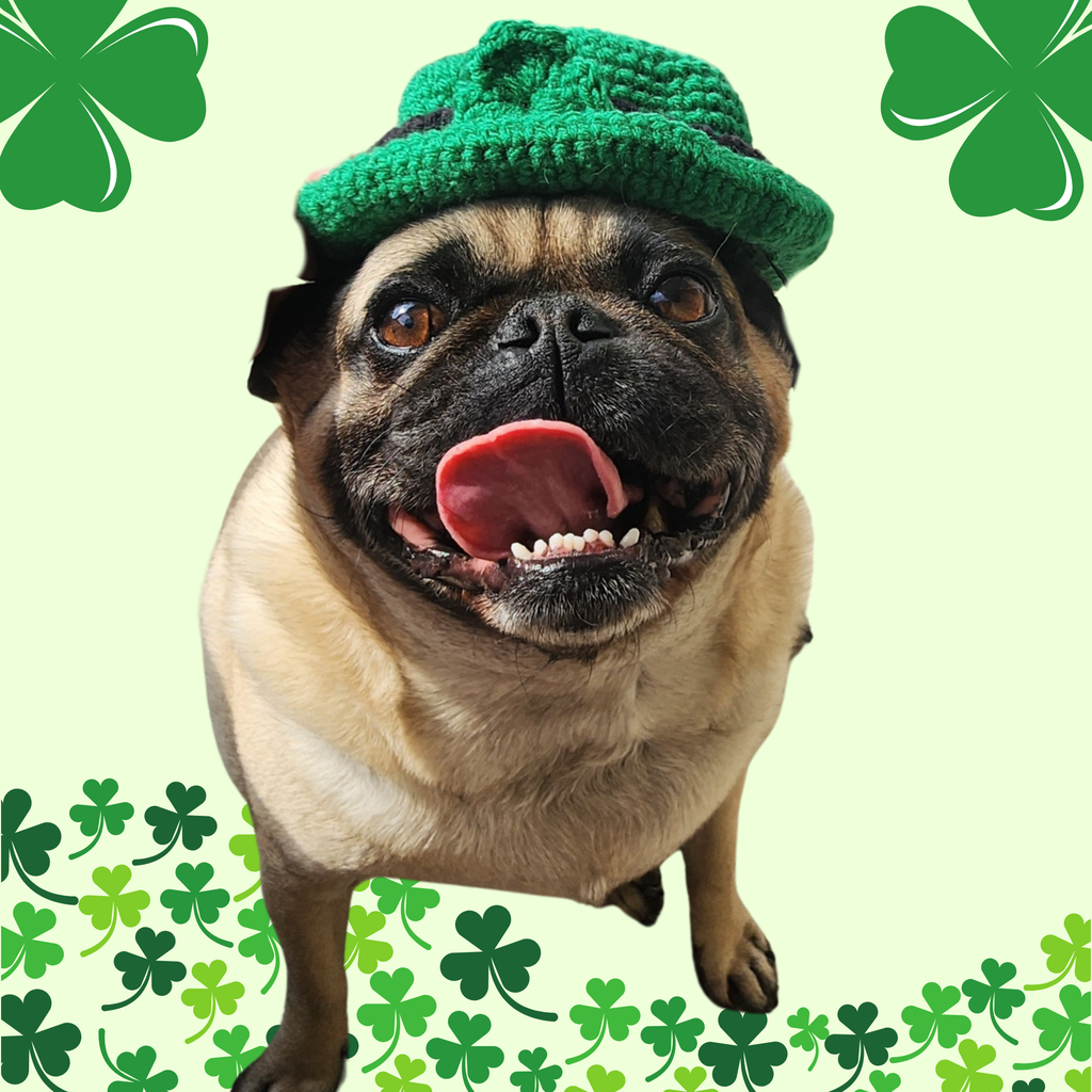 St. Patrick's Day Dog Hat Crochet Pattern