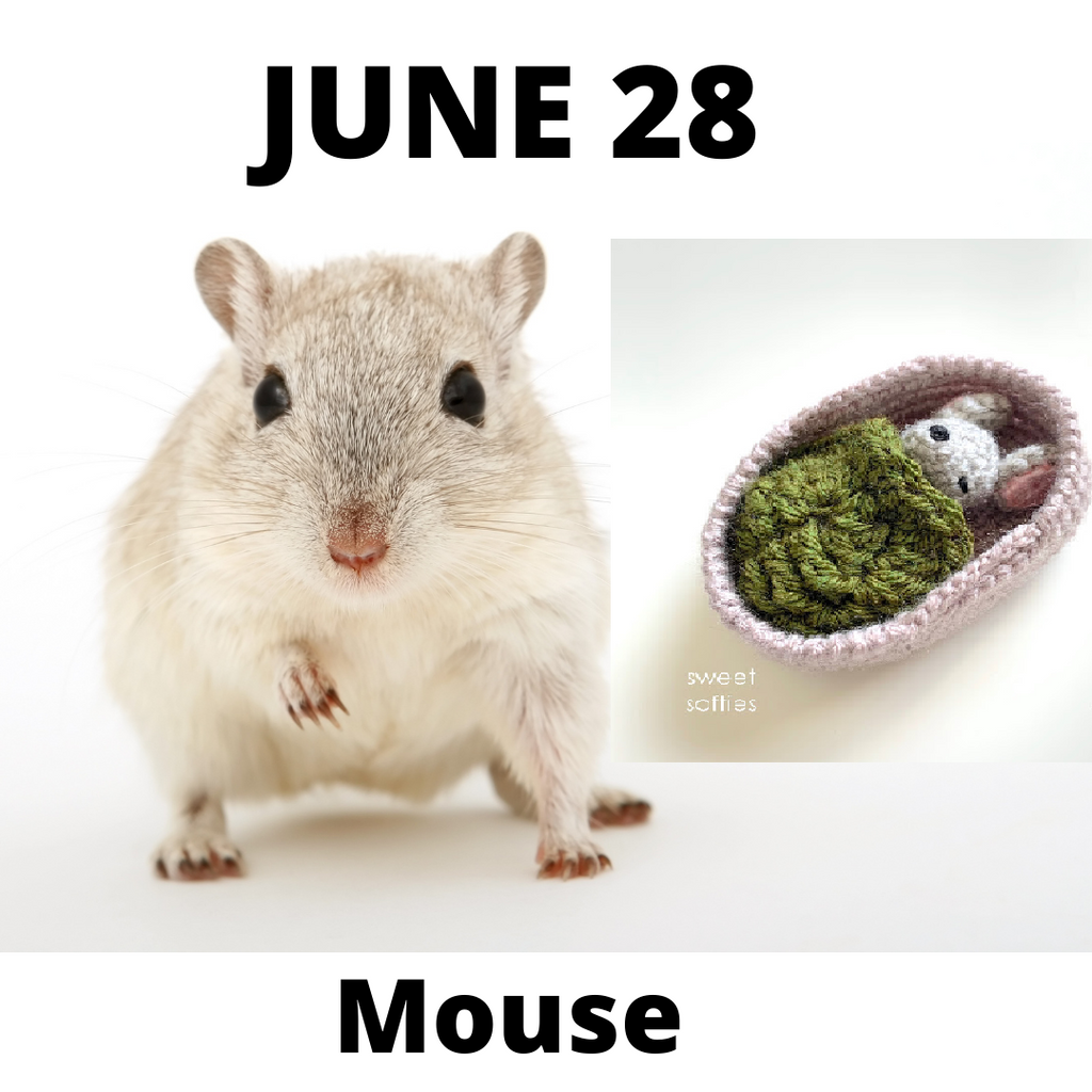 Zoo Blog Hop Day 28 - Mouse