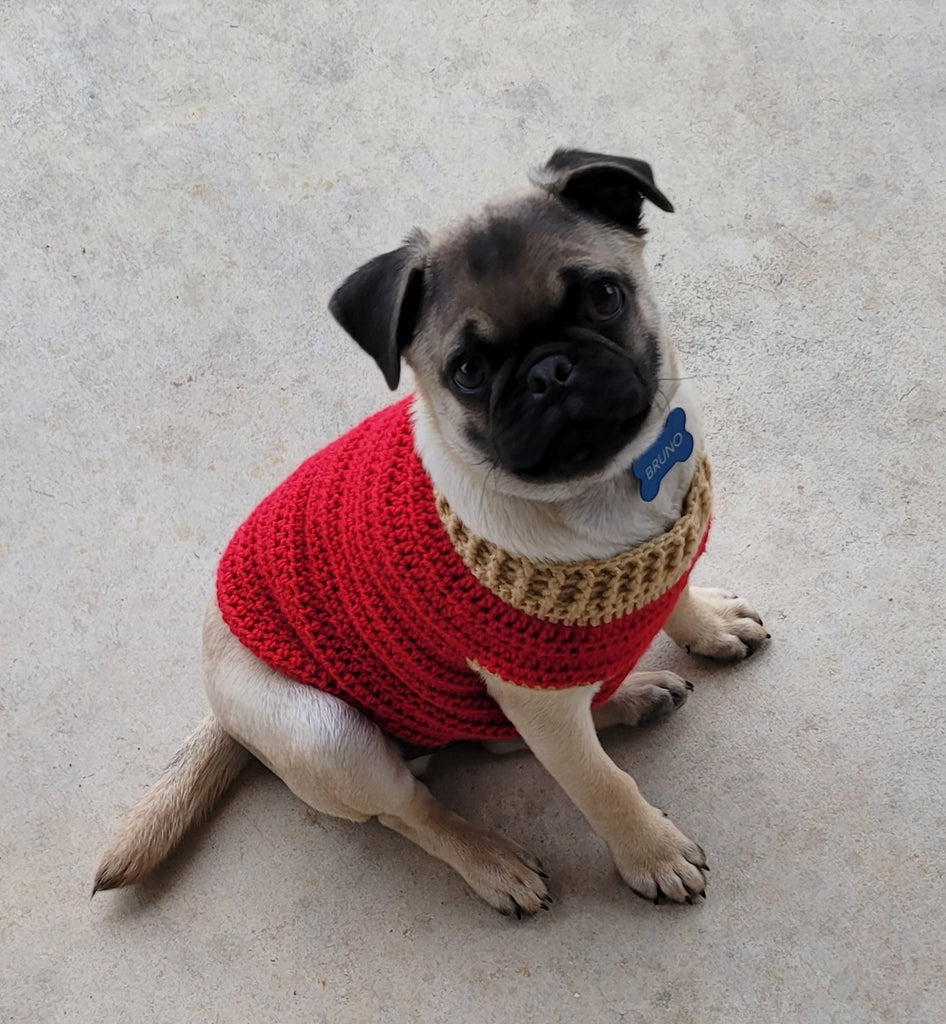 Pug Puppy Sweater Update