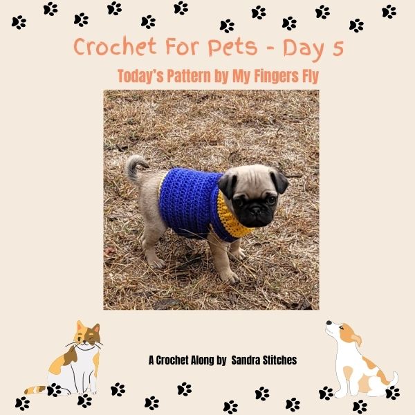 Crochet for Pets Day 5