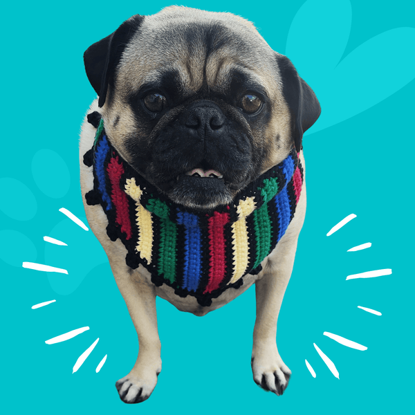 Cinco de Mayo Pet Bandana Crochet Pattern – PDF Download - My Fingers Fly