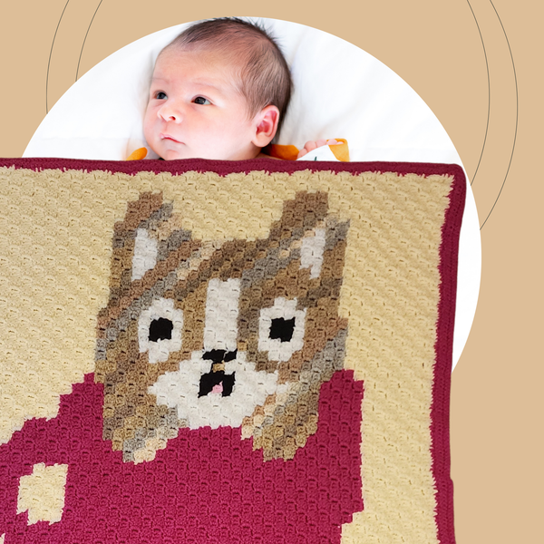 Kitten in a Teacup Baby Blanket, Handmade Crochet