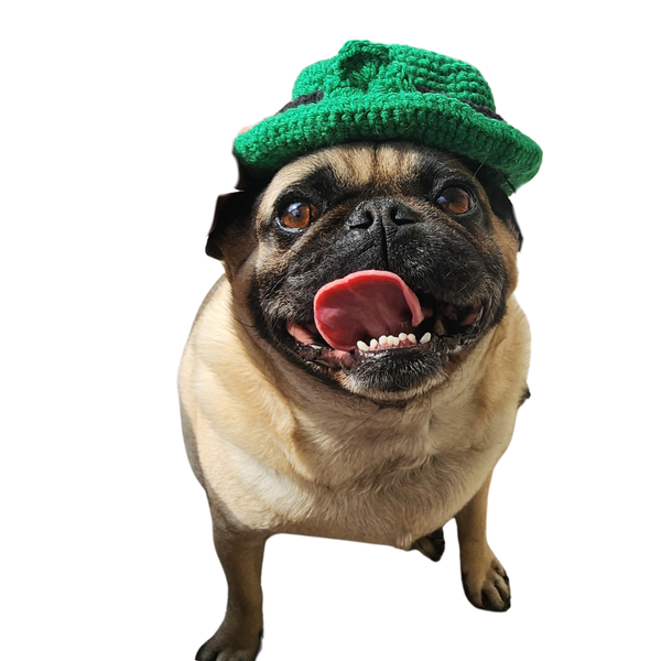 St. Patrick's Day Dog Hat Crochet Pattern