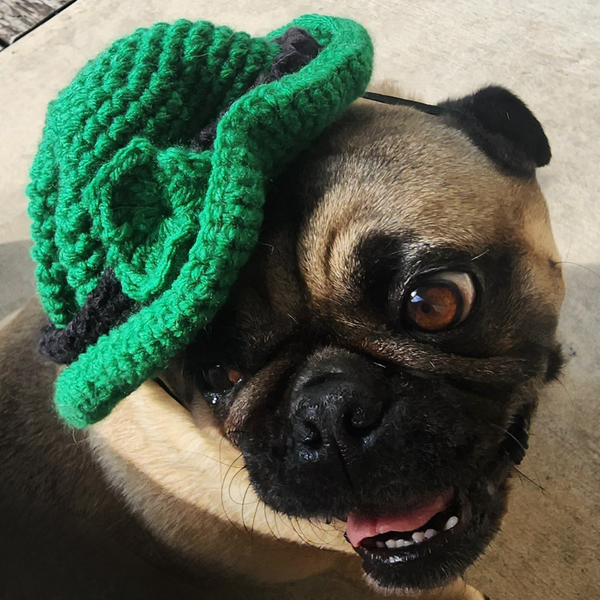 St. Patrick's Day Dog Hat Crochet Pattern
