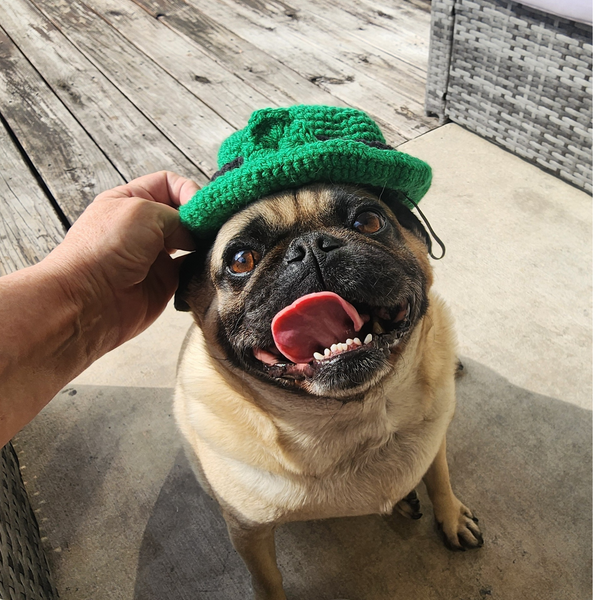 St. Patrick's Day Dog Hat Crochet Pattern