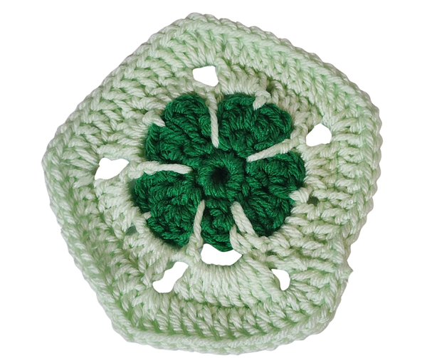 St. Patrick's Day Turtle Amigurumi Crochet Pattern PDF