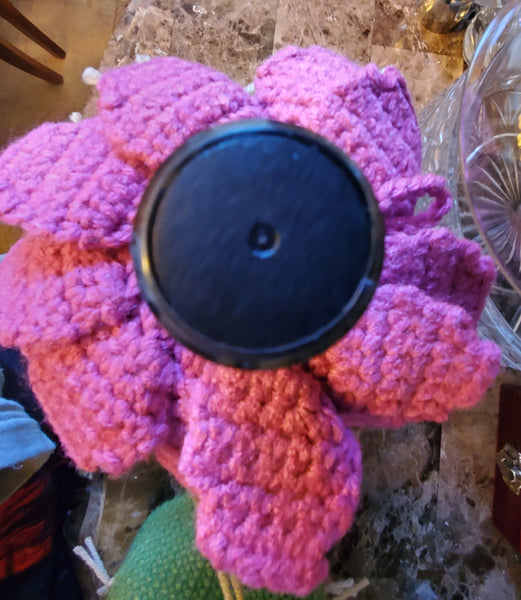 Prickly Pear Liquor Bottle Crochet Pattern